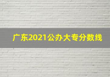 广东2021公办大专分数线