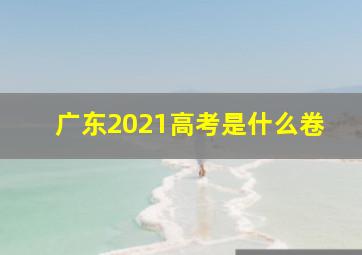 广东2021高考是什么卷