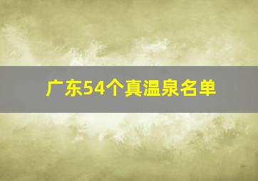 广东54个真温泉名单