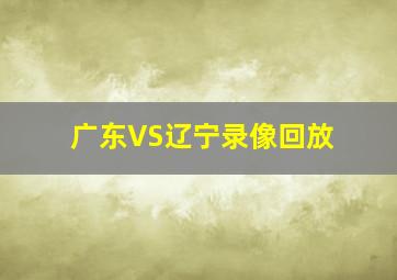 广东VS辽宁录像回放