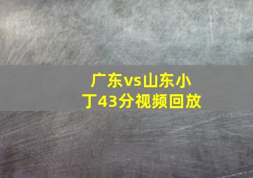 广东vs山东小丁43分视频回放