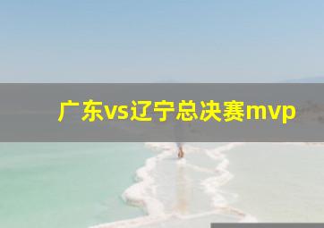 广东vs辽宁总决赛mvp