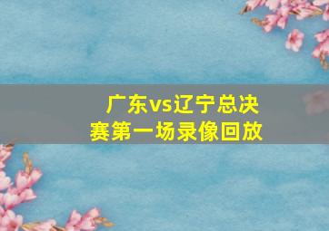 广东vs辽宁总决赛第一场录像回放