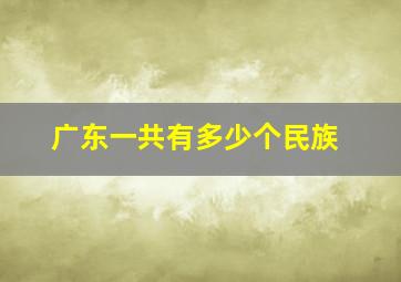 广东一共有多少个民族