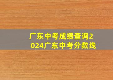 广东中考成绩查询2024广东中考分数线