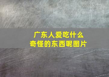 广东人爱吃什么奇怪的东西呢图片