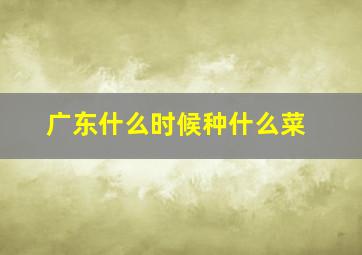 广东什么时候种什么菜