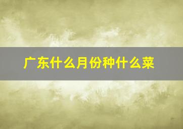 广东什么月份种什么菜