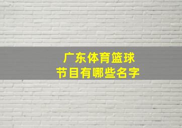 广东体育篮球节目有哪些名字