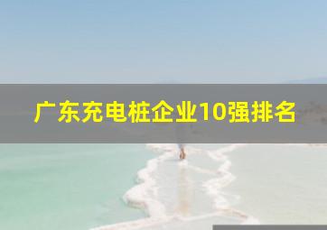 广东充电桩企业10强排名