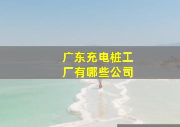 广东充电桩工厂有哪些公司