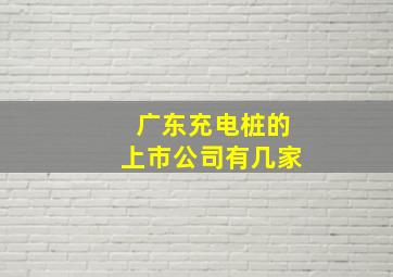 广东充电桩的上市公司有几家