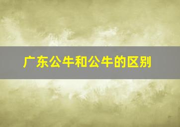 广东公牛和公牛的区别