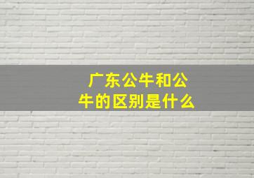 广东公牛和公牛的区别是什么