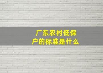 广东农村低保户的标准是什么