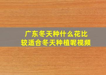 广东冬天种什么花比较适合冬天种植呢视频