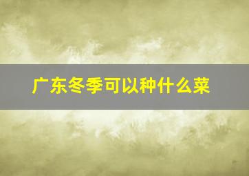 广东冬季可以种什么菜