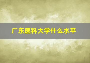 广东医科大学什么水平