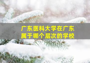 广东医科大学在广东属于哪个层次的学校