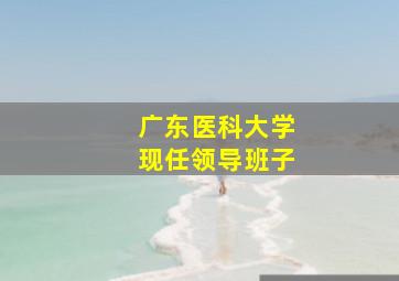 广东医科大学现任领导班子