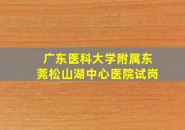 广东医科大学附属东莞松山湖中心医院试岗