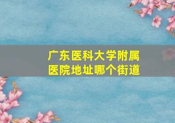 广东医科大学附属医院地址哪个街道