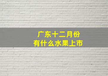 广东十二月份有什么水果上市