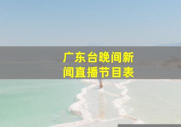 广东台晚间新闻直播节目表