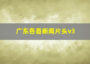 广东各县新闻片头v3