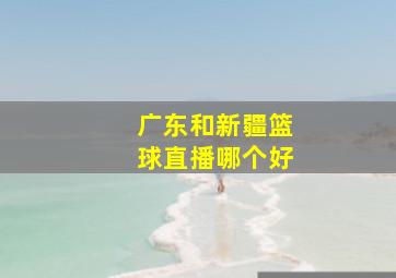 广东和新疆篮球直播哪个好