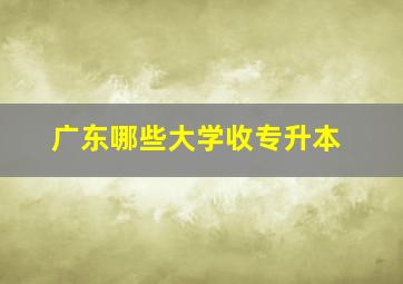 广东哪些大学收专升本