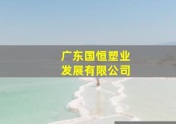 广东国恒塑业发展有限公司