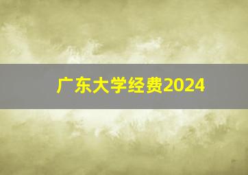 广东大学经费2024