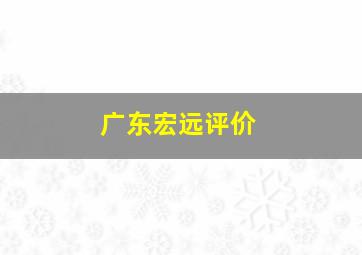 广东宏远评价