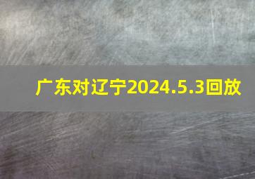 广东对辽宁2024.5.3回放