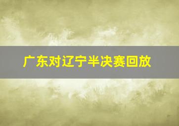 广东对辽宁半决赛回放