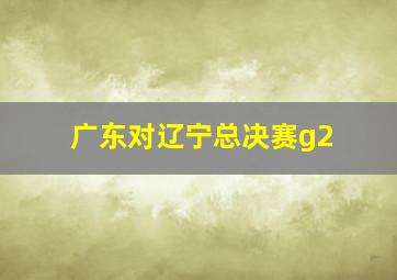 广东对辽宁总决赛g2