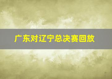 广东对辽宁总决赛回放