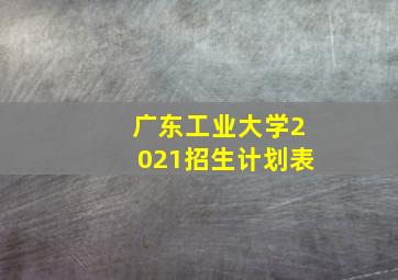 广东工业大学2021招生计划表