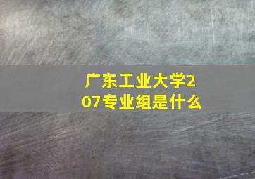 广东工业大学207专业组是什么