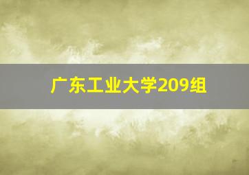 广东工业大学209组