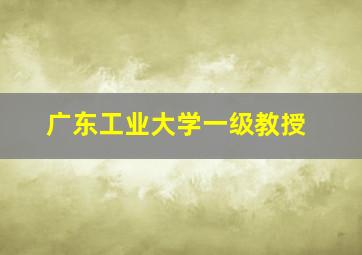 广东工业大学一级教授