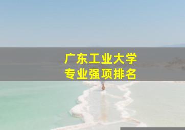 广东工业大学专业强项排名