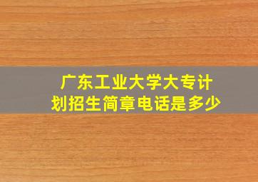 广东工业大学大专计划招生简章电话是多少