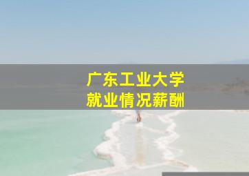 广东工业大学就业情况薪酬