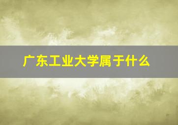 广东工业大学属于什么