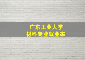 广东工业大学材料专业就业率