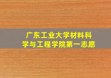 广东工业大学材料科学与工程学院第一志愿