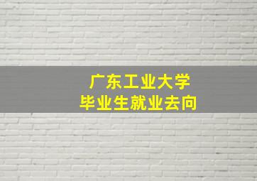 广东工业大学毕业生就业去向