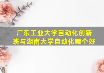 广东工业大学自动化创新班与湖南大学自动化哪个好